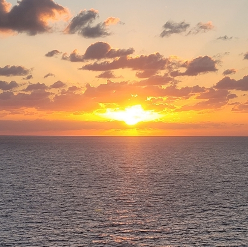 Meet your Posher, Orzb